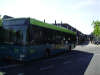 reptielen dierenpark serpo Connexxion stadsbus